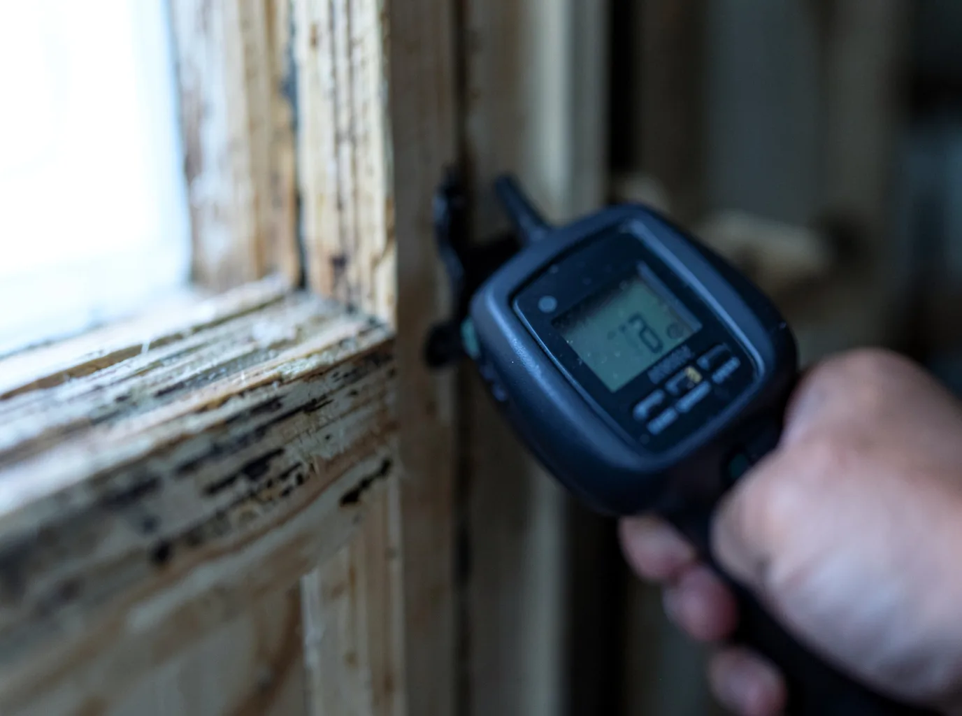 Moisture Inspection And Documentation in Bailey Island, ME